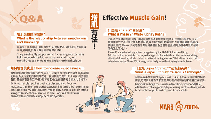 ATHENA MULTI-EFFECT PROTEIN 3 IN 1