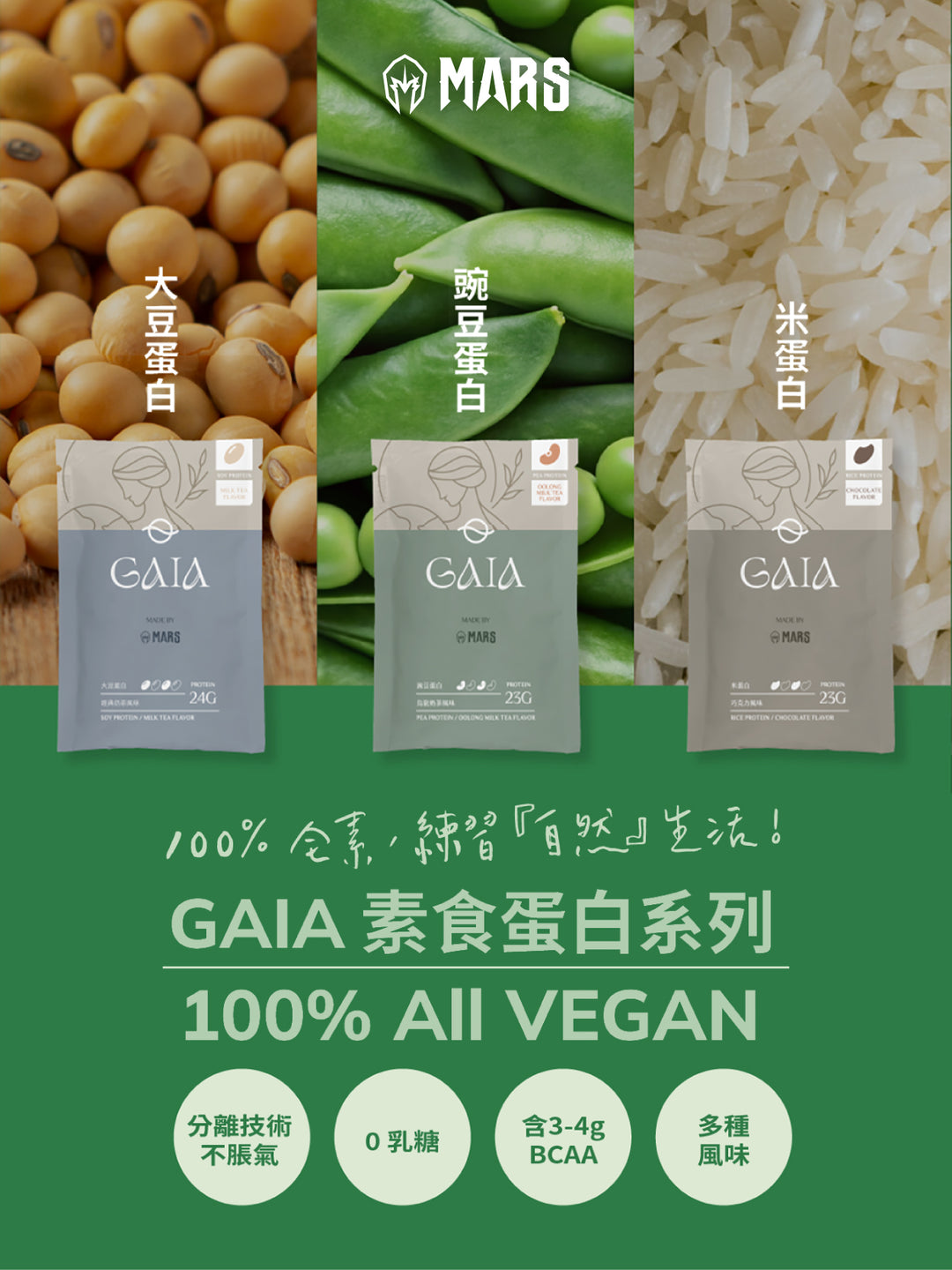 Mars Tea GAIA VEGAN - Milk Tea Flavor Vegan Soy Protein (ISOLATE) – Mars Whey ...